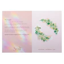 Scout Curated Wears Various Styles Vinyl Suncatcher Stickers
