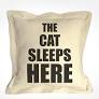 "Not Here" "And Here" Pillows