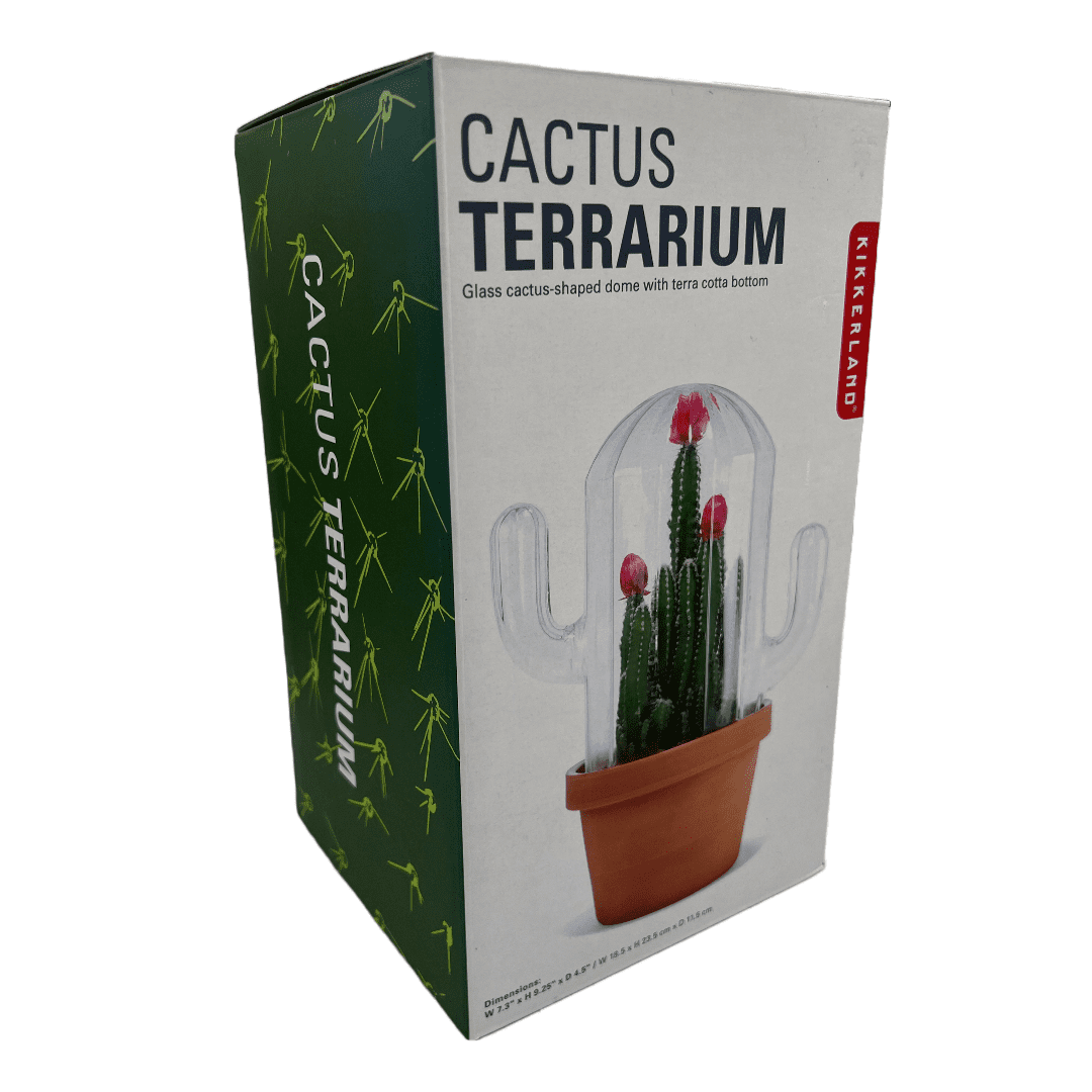 Cactus Terrarium