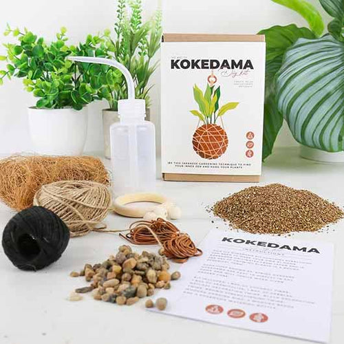 The Art of Kokedama - DIY Kit - Front & Company: Gift Store