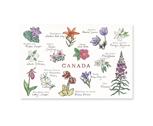 Canadian Floral Emblems Postcard