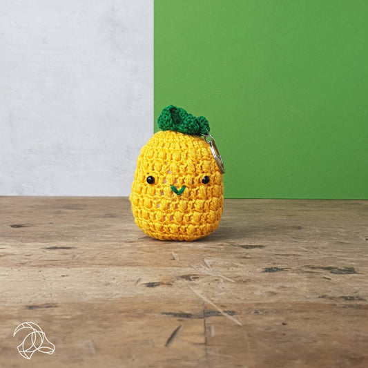 DIY Crochet Kit - Pineapple Bag Hanger