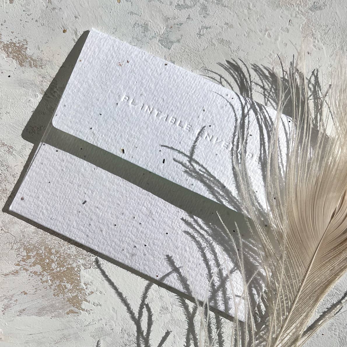 Dad's Tools - Father's Day Card