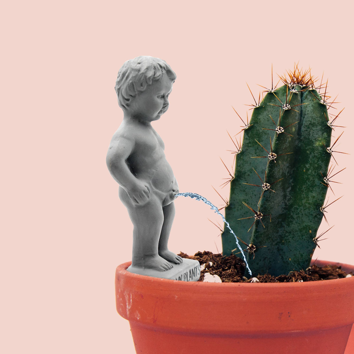 Pee My Plants Watering Decoration
