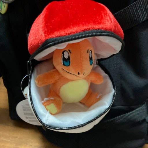 Pokemon Poké Ball Plush Pouch + Random Keychain 8cm SET