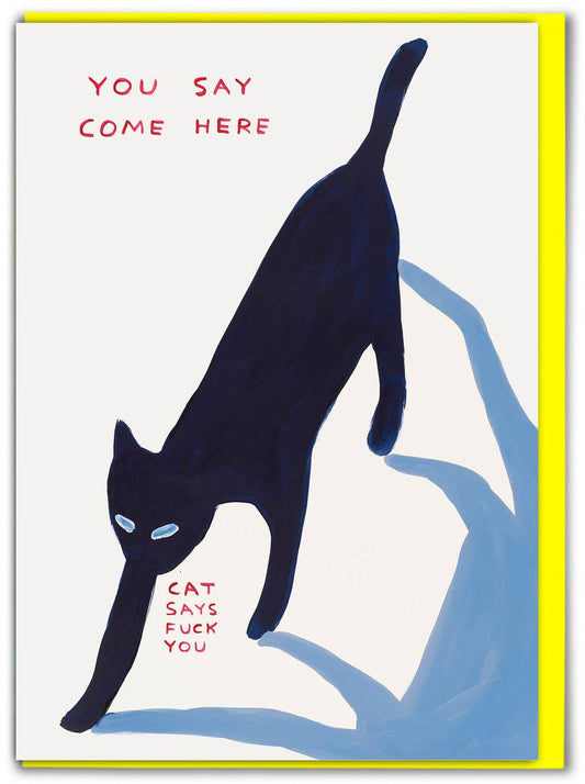David Shrigley Funny Birthday Card - Cat Says Fuck You