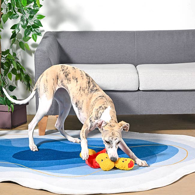 HugSmart Pet - Food Party | Chicken Nuggets -Interactive Toy
