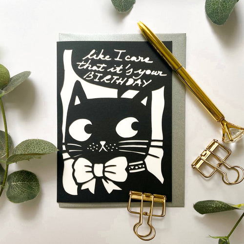 Funny cat birthday card, Humorous birthday card, Cat card - Front & Company: Gift Store