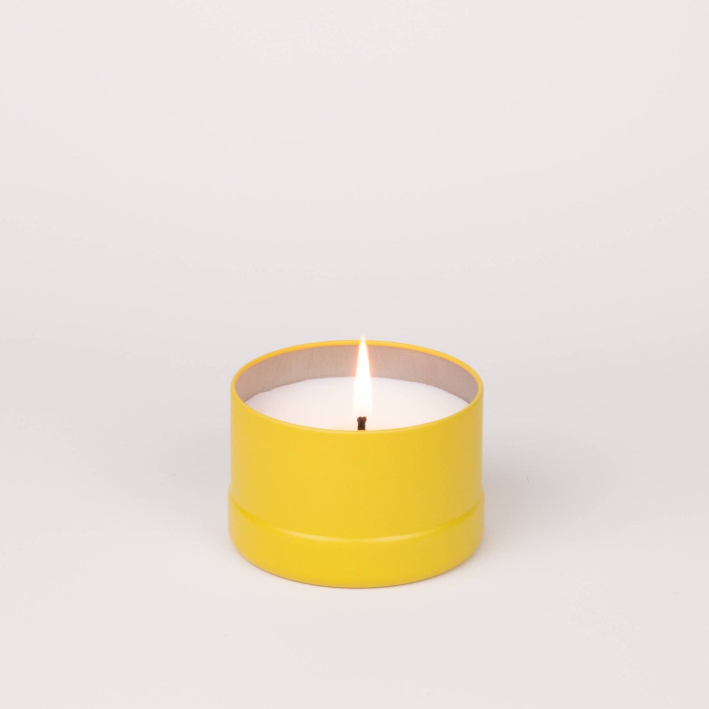 PawsON Pet Odor Neutralizing Candle