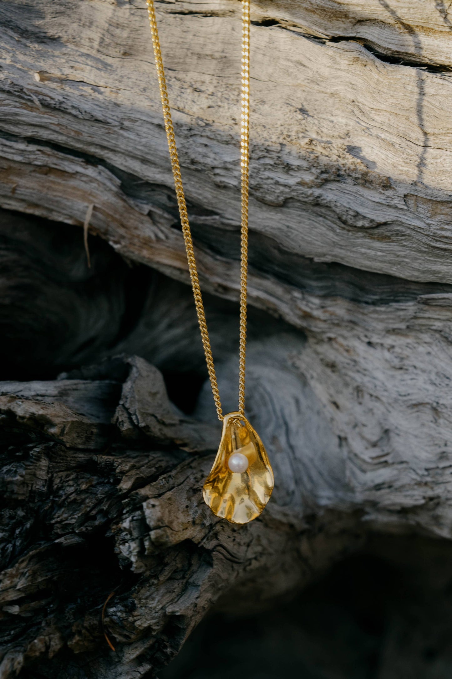 Oyster Shell Necklace