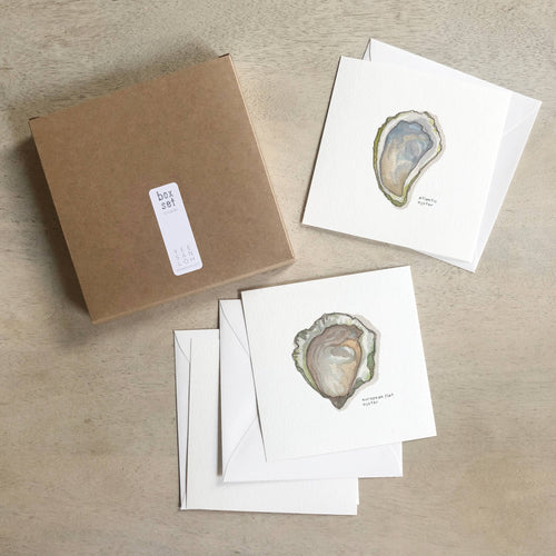 Oysters / Cards Box Set - Front & Company: Gift Store