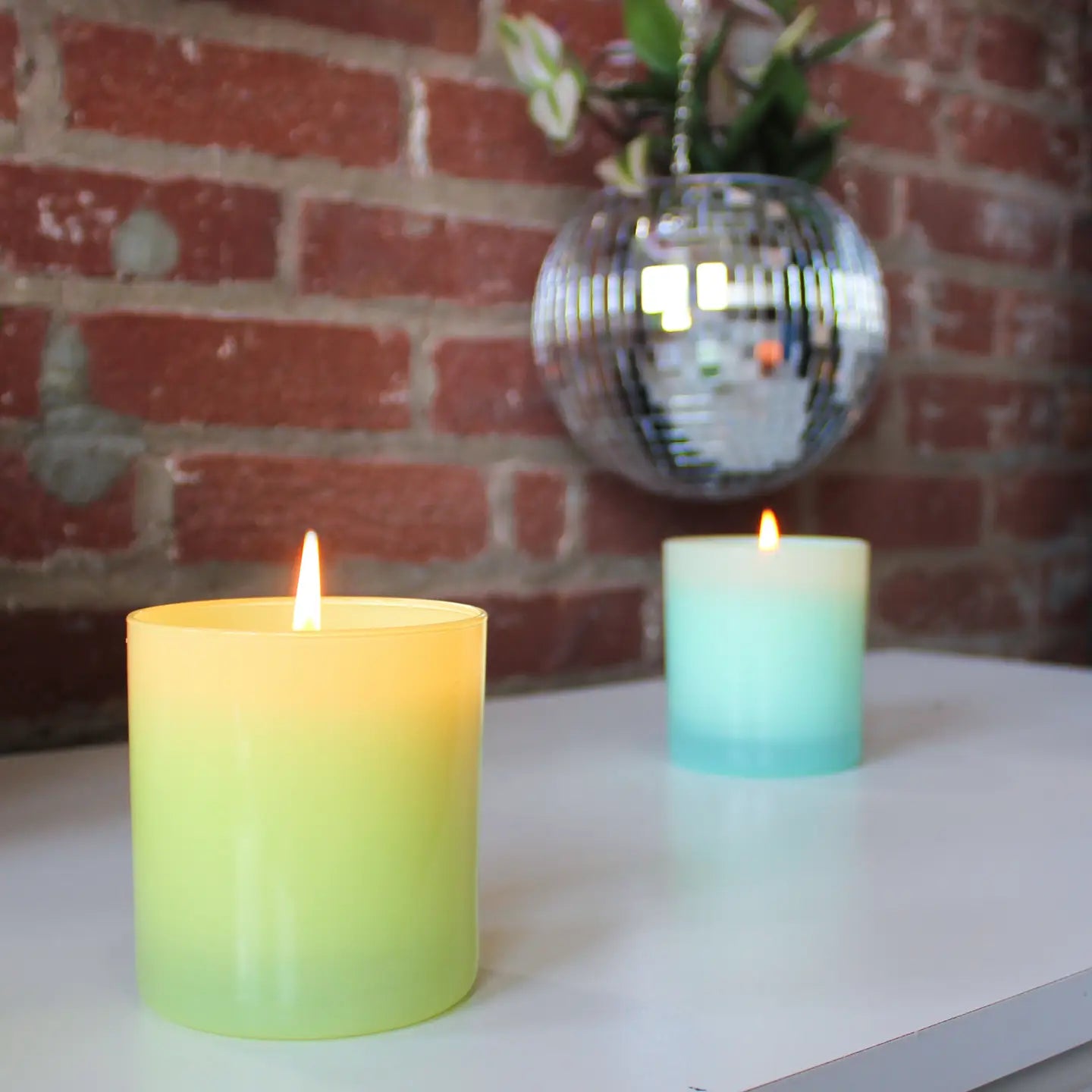 Garden 9 oz. Hue Candle (Tomato Vine)