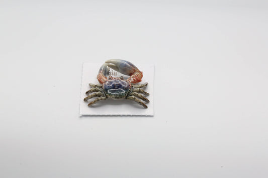 Claw Fiddler Crab Porcelain Miniature