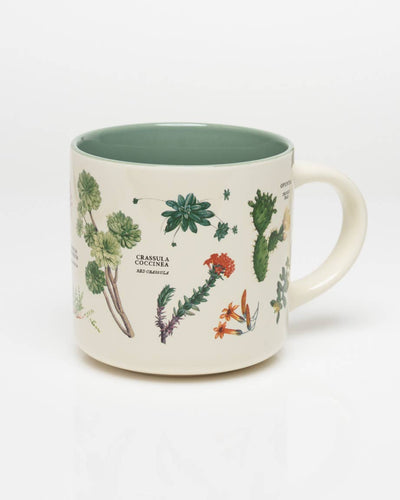 Succulents Ceramic Mug - Front & Company: Gift Store