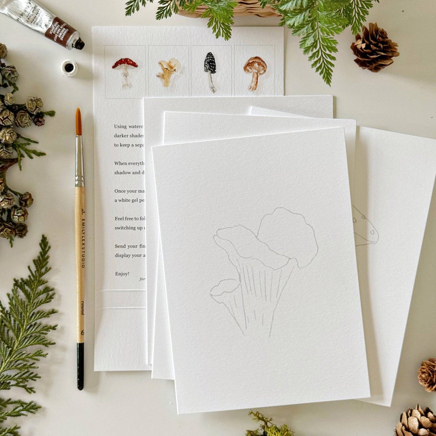 Mushrooms paintable watercolor notecard set