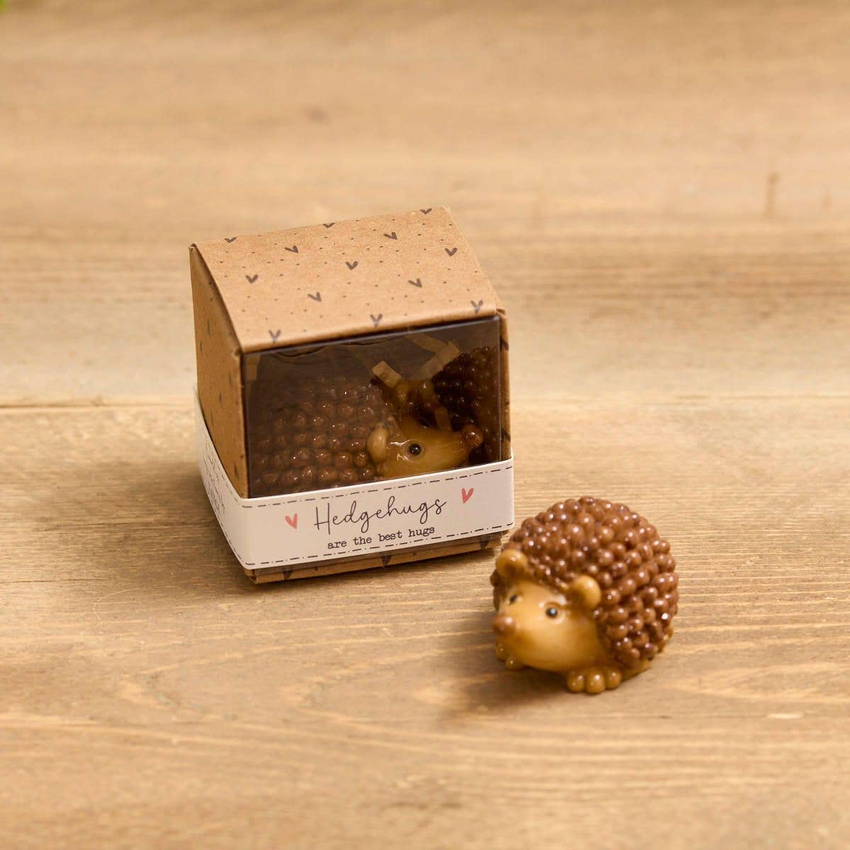 Tiny World Hedgehog Resin Keepsake Ornament With Gift Box **