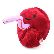 Load image into Gallery viewer, Placenta Plush - Baby&#39;s First Roommate
