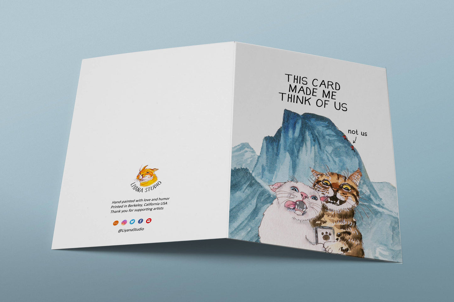 Cats Couple Adventure Funny Anniversary Card