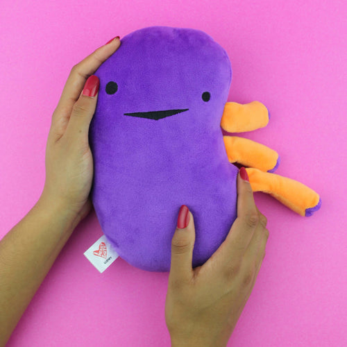 Kidney Plush - When Urine Love - Front & Company: Gift Store