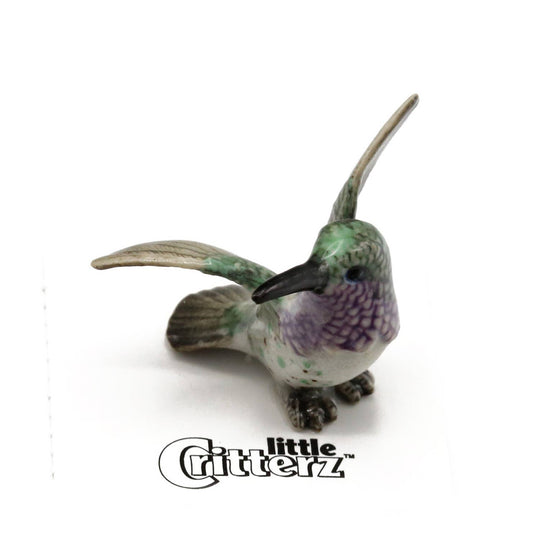 Sheartail Lucifer Hummingbird Porcelain Miniature