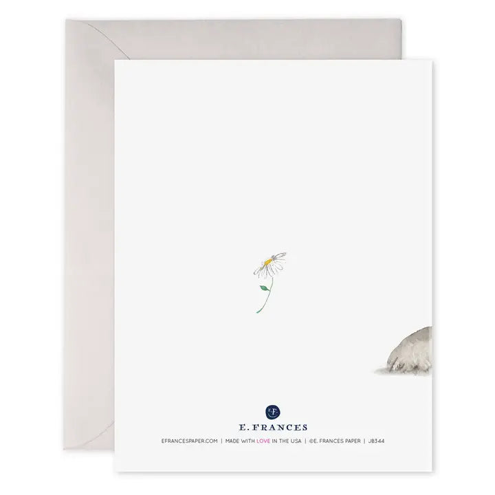 Anteater Sorry | Apology Greeting Card