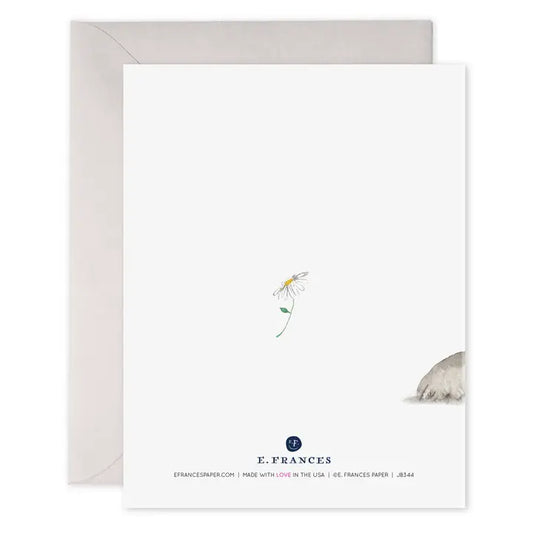 Anteater Sorry | Apology Greeting Card