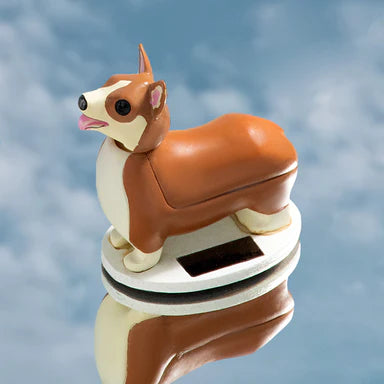Elroy Solar Corgi