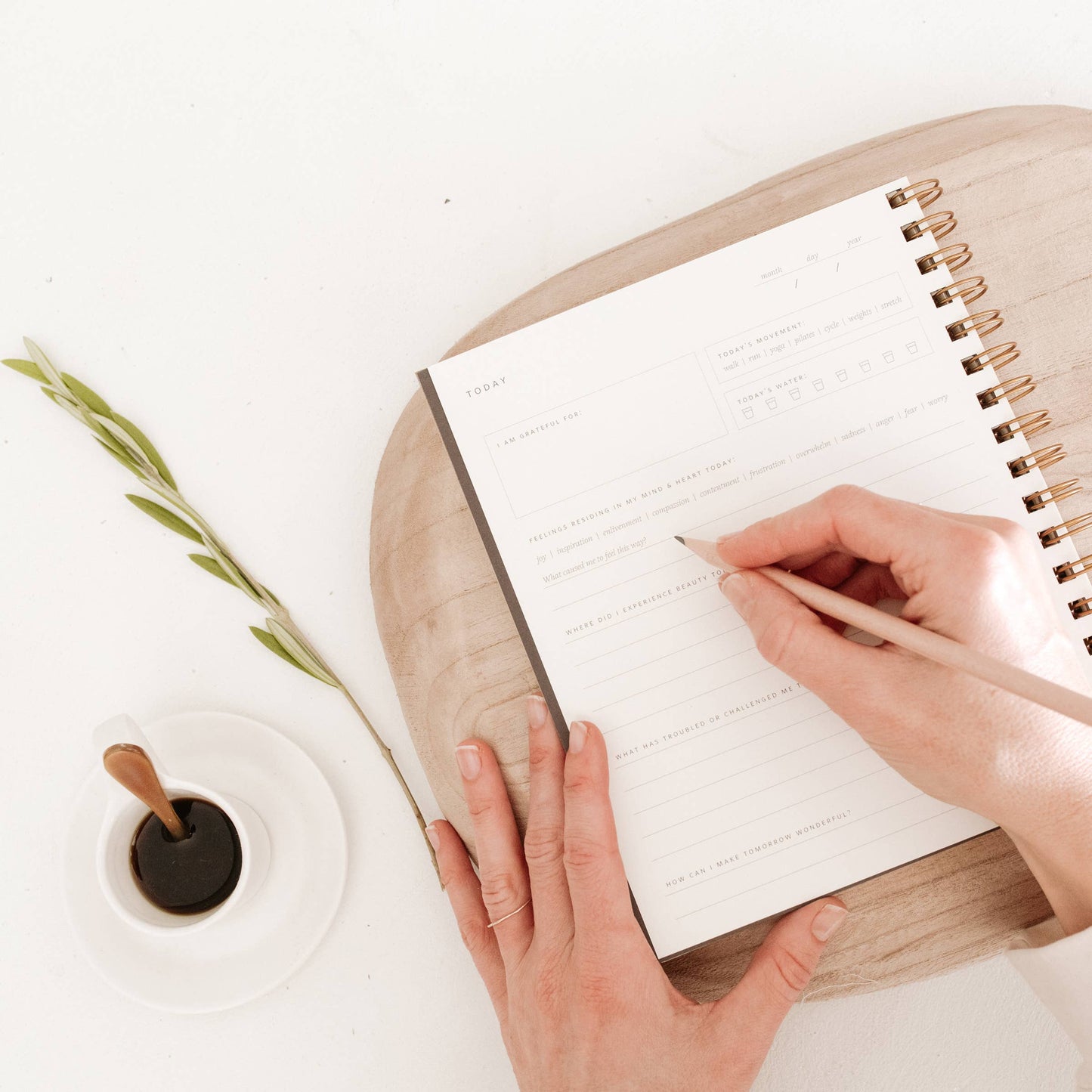 Daily Pause Journal | Assorted Colors // Undated