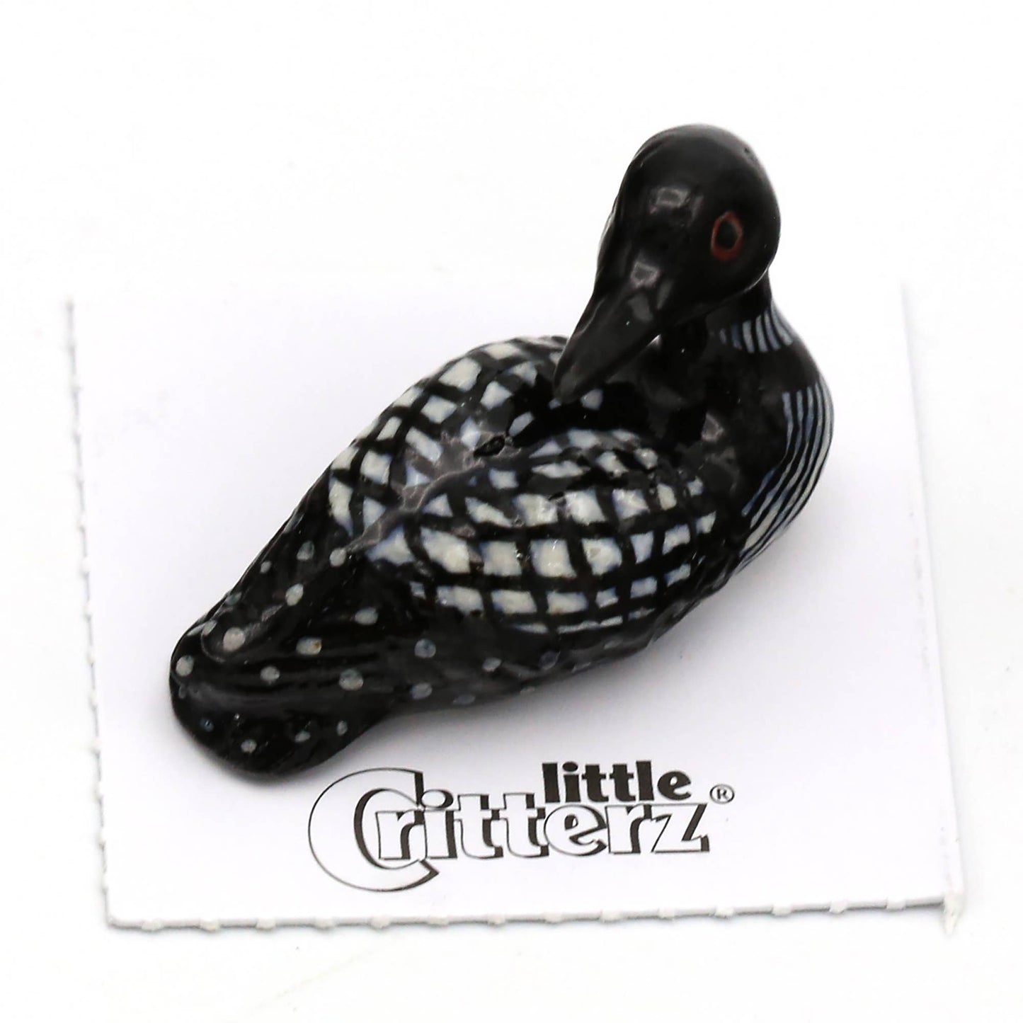 Gavia Loon Porcelain Miniature