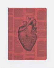 Load image into Gallery viewer, Anatomical Heart Softcover Notebook Lined
