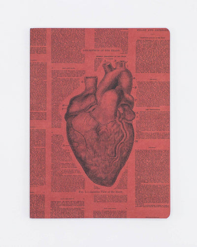 Anatomical Heart Softcover Notebook Lined - Front & Company: Gift Store