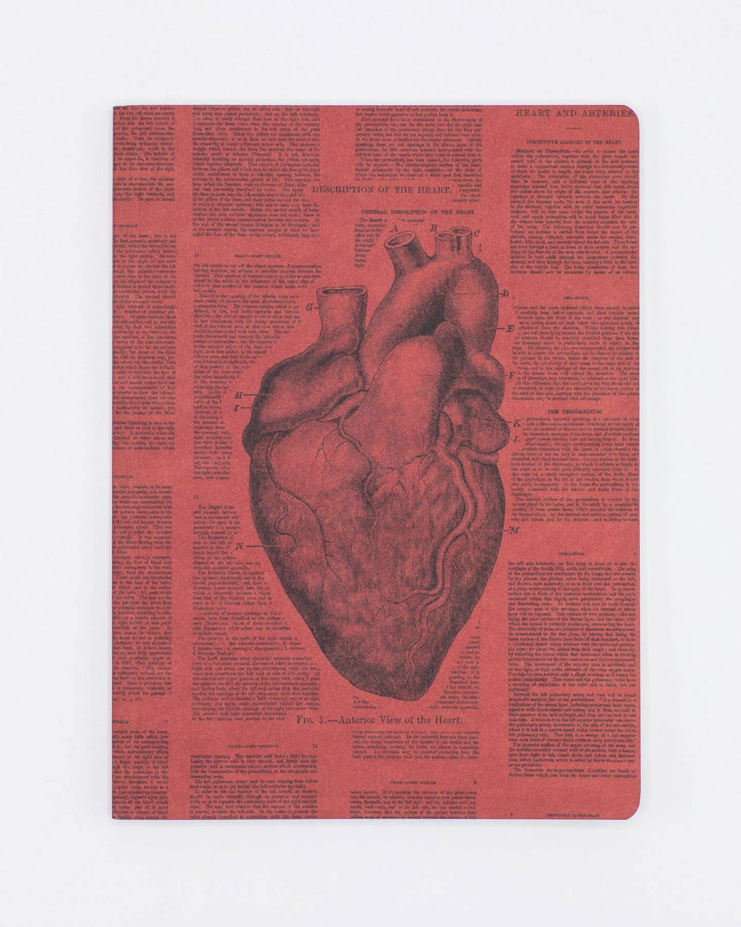 Anatomical Heart Softcover Notebook Lined