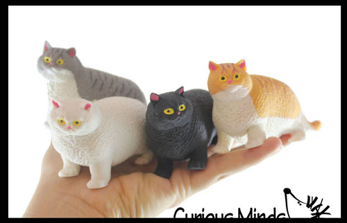 Fat Stretchy Cat Crushed Bead Sand Filled - Front & Company: Gift Store