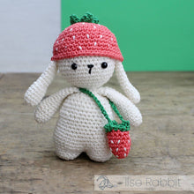 Load image into Gallery viewer, DIY Crochet Kit - Ilse Rabbit
