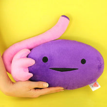 Load image into Gallery viewer, Ovary Plush - Ova Achiever
