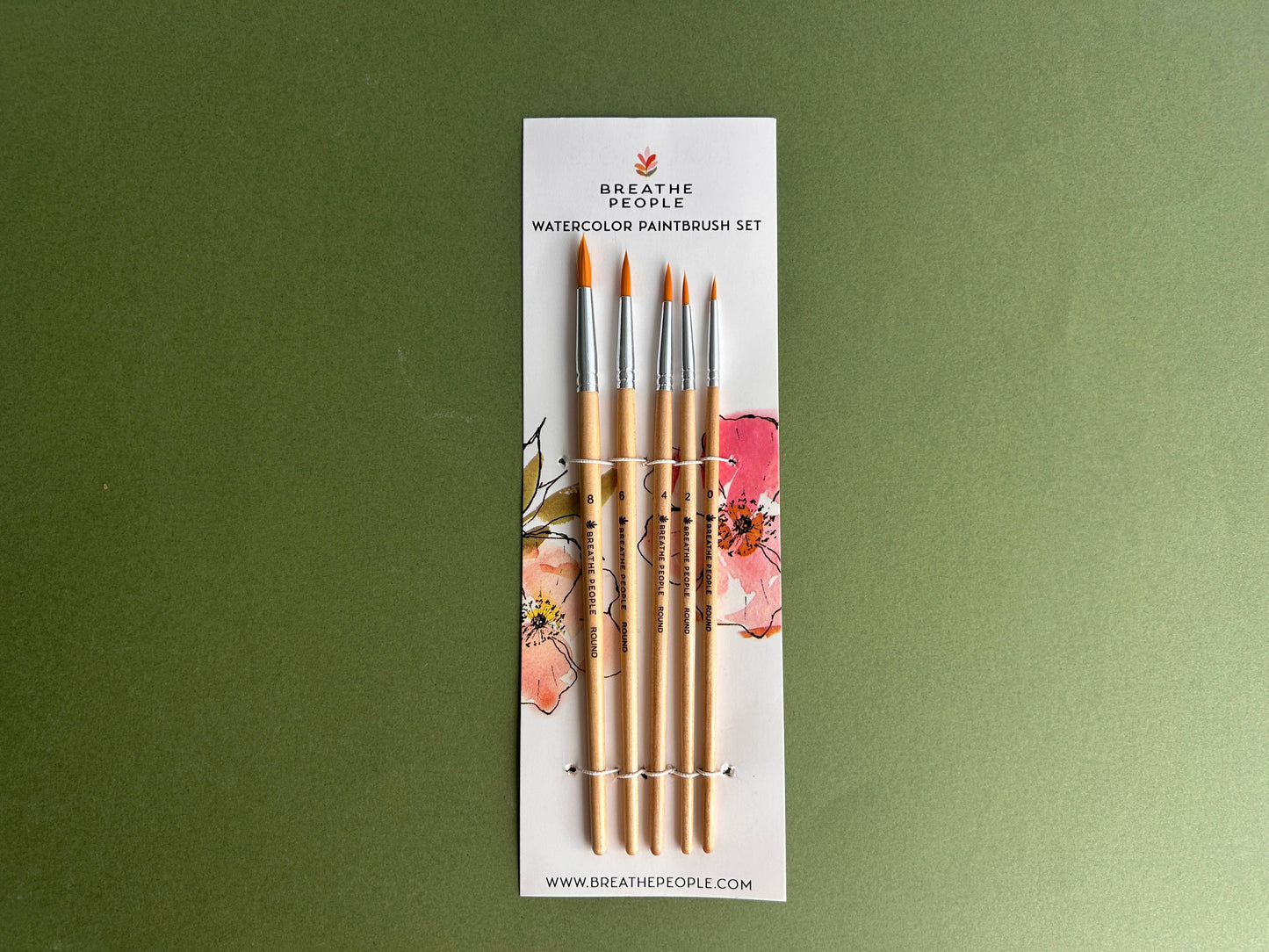 5-Piece Round Watercolor Brush Set, Full Range, Sizes 0-8