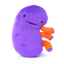 Load image into Gallery viewer, Kidney Plush - When Urine Love
