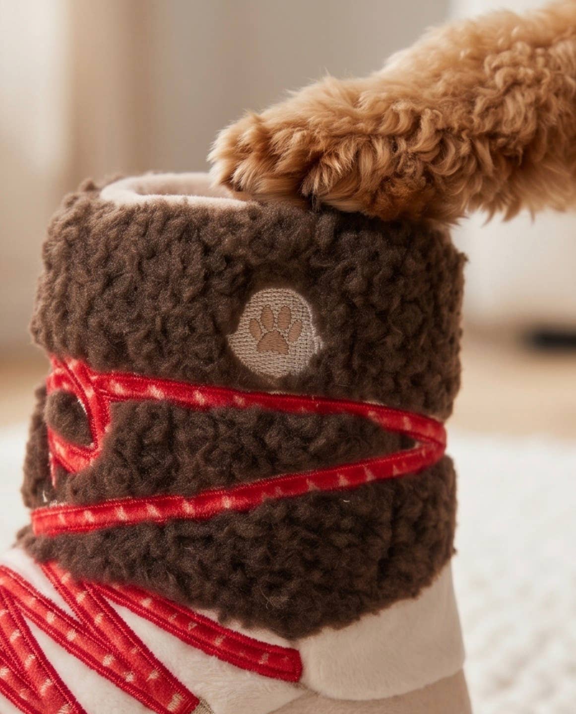 Apres Ski Boot  | Squeaker Dog Toy