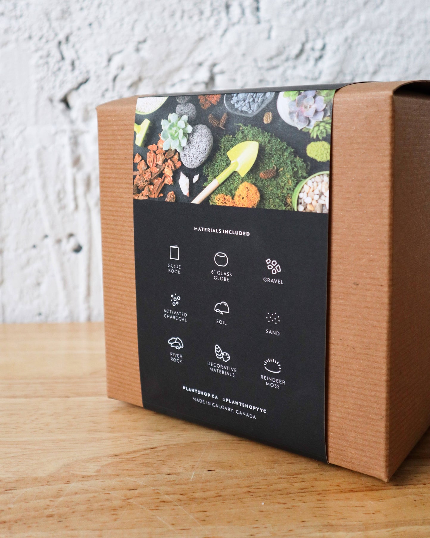 Terrarium Kit : Globe