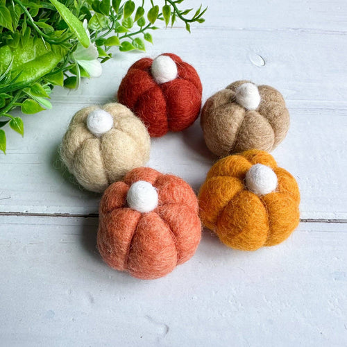 Boho Felt Mini Pumpkin - Front & Company: Gift Store