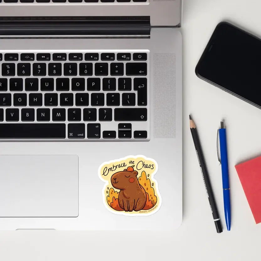Embrace the chaos sticker