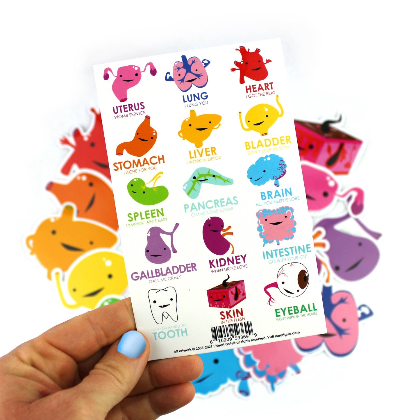 Giant Guts Sticker Set - 15 Organs and Friends