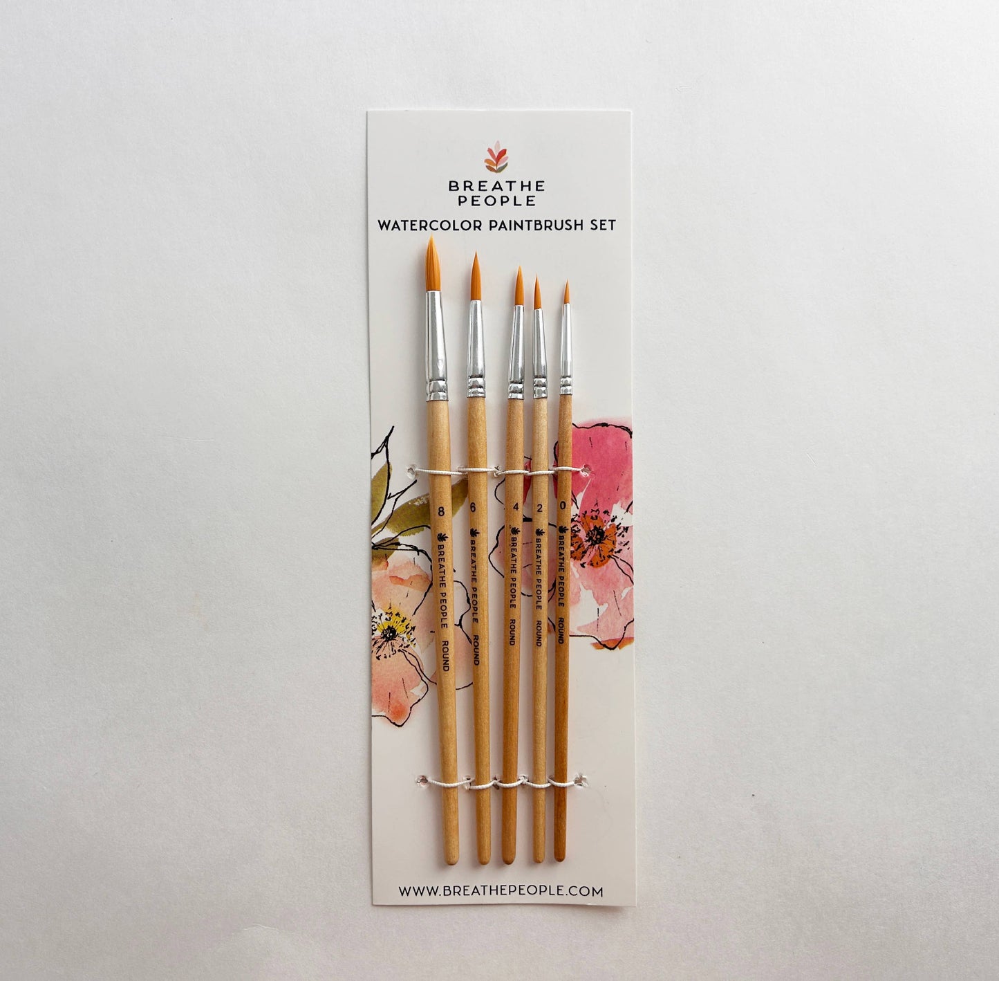 5-Piece Round Watercolor Brush Set, Full Range, Sizes 0-8