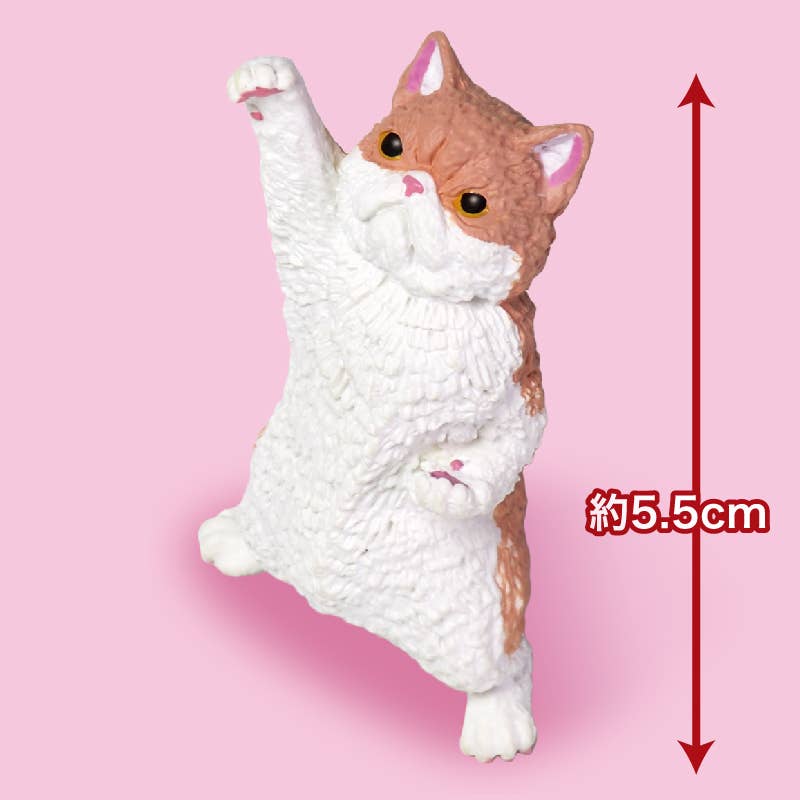 JAPANESE BLIND BOX - CAT NYAOOOO! 2 BLIND BOX