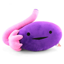 Load image into Gallery viewer, Ovary Plush - Ova Achiever
