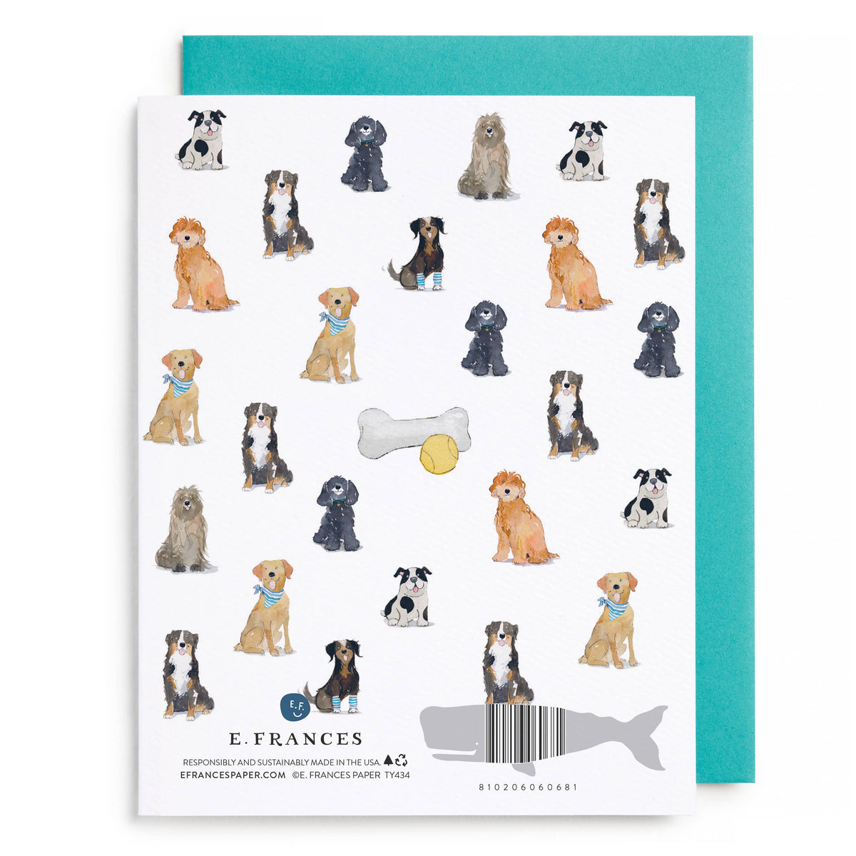 Doggy Thank You Boxed Card Set, Set of 6