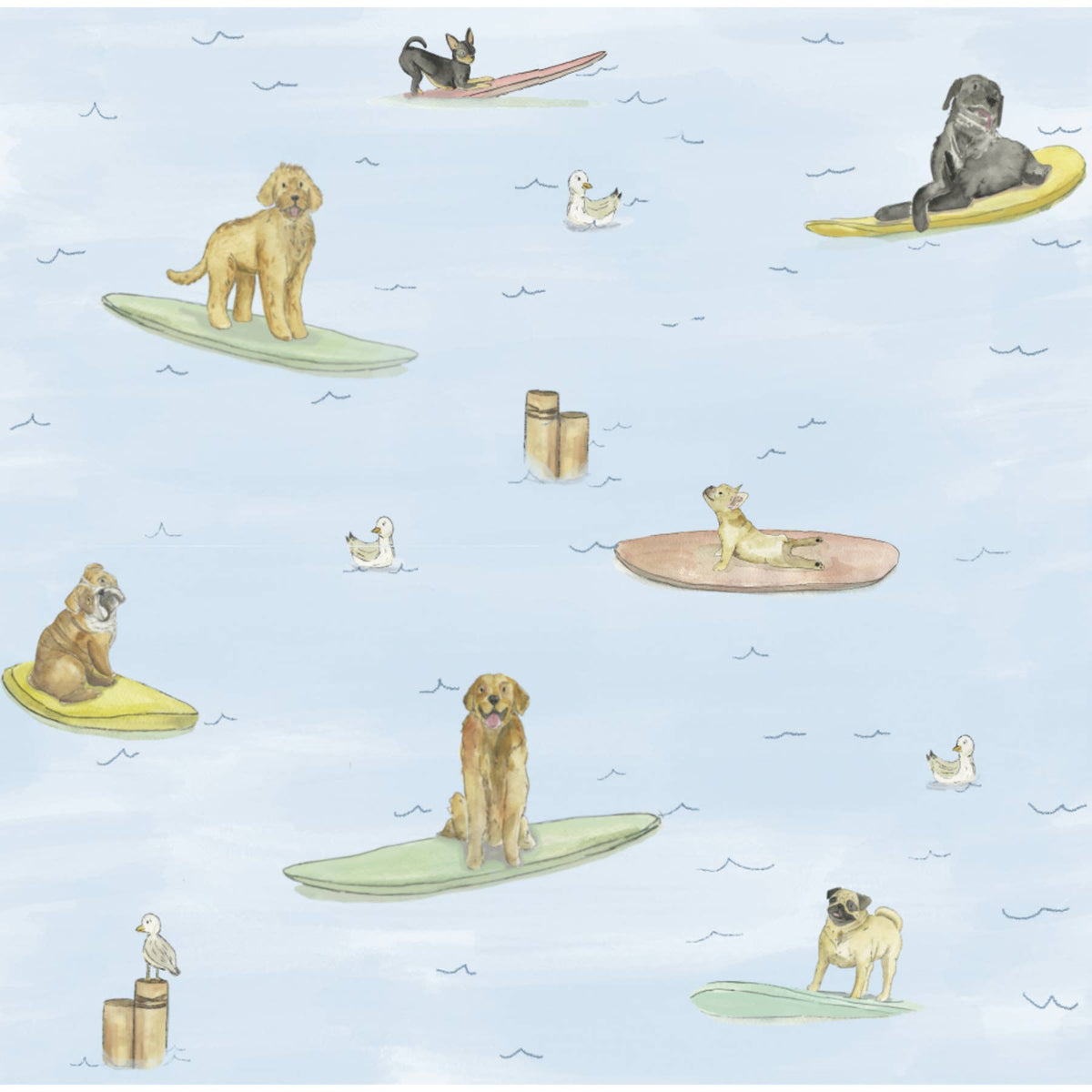 Gift Wrap - Dogs Surfing