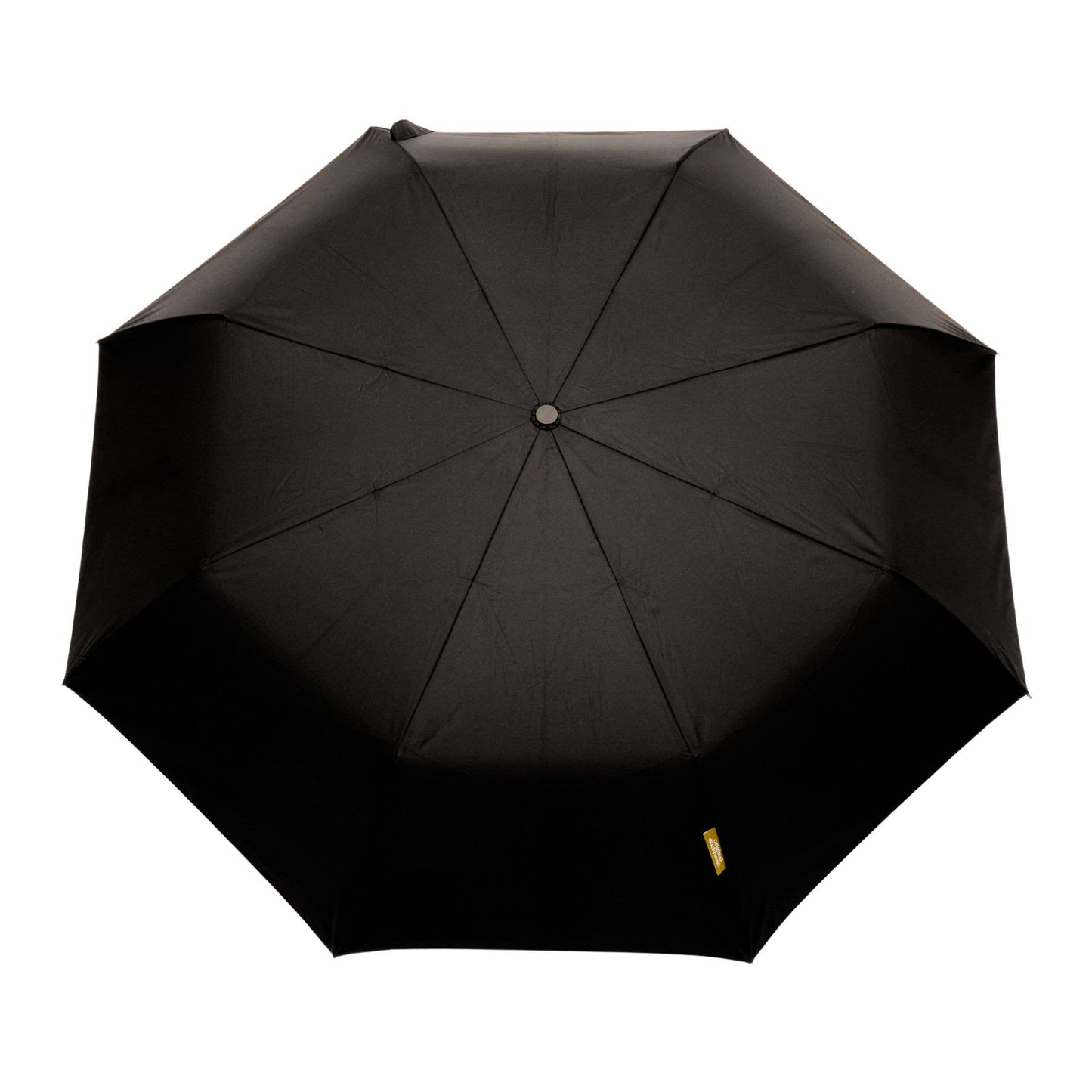 NEW! The Daily - Magenta Eco-Friendly Automatic Umbrella