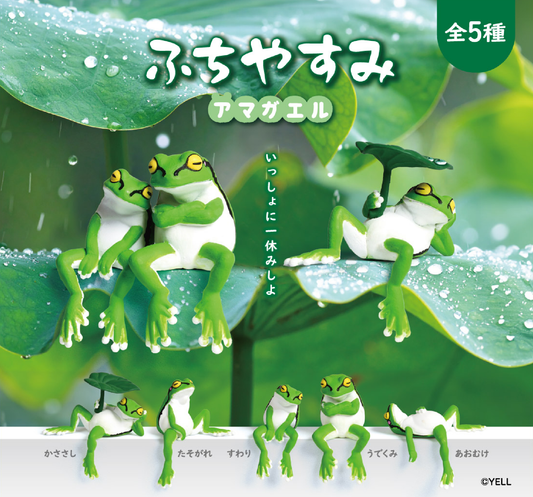 JAPANESE BLIND BOX RESTING TREE FROG BLIND BOX