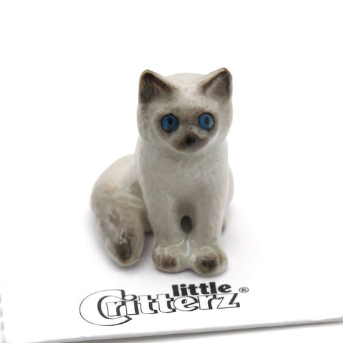 Samantha Ragdoll Kitten Porcelain Miniature - Front & Company: Gift Store